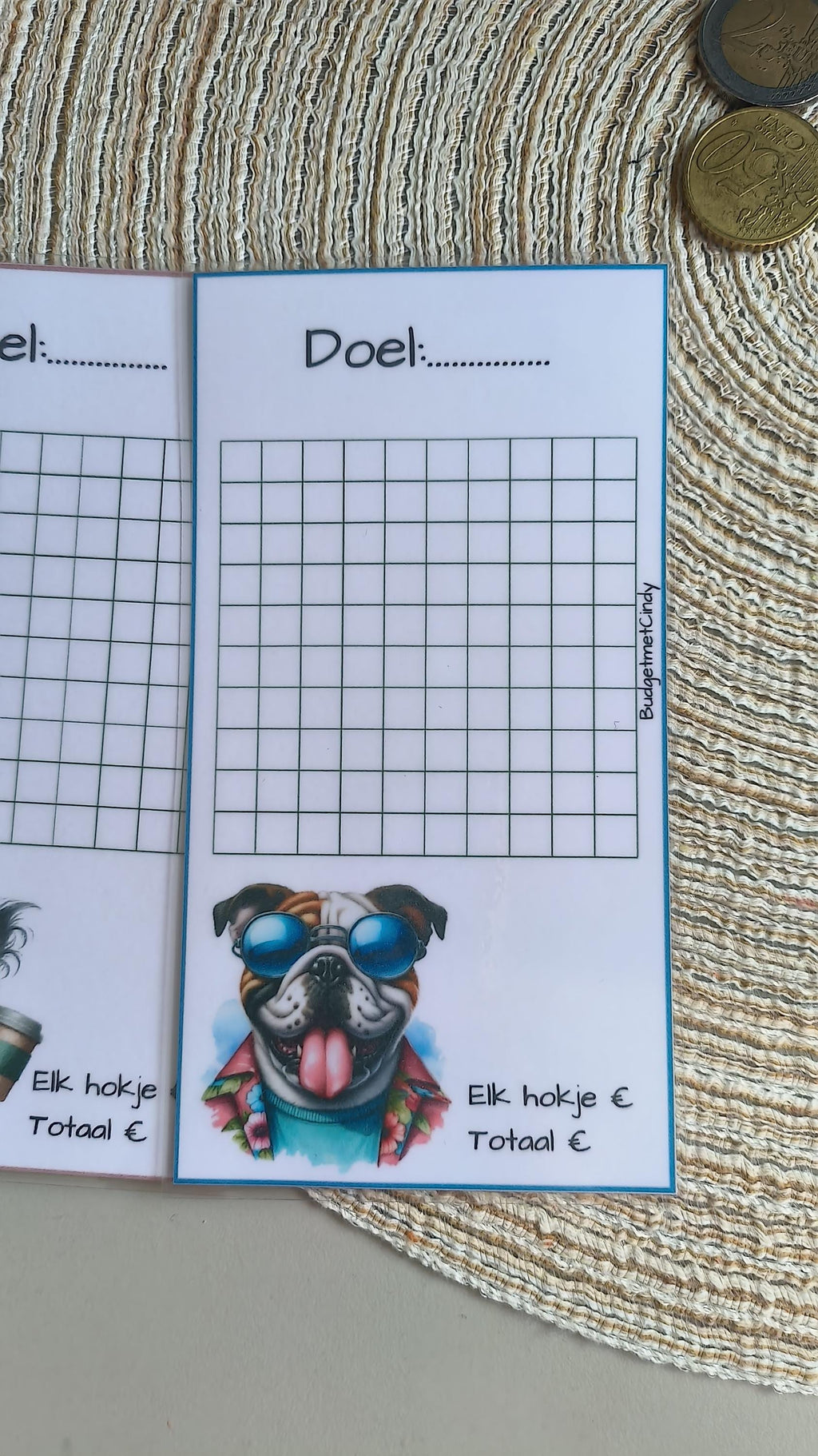A6 challenge 100 vakjes doel en bedrag zelf kiezen