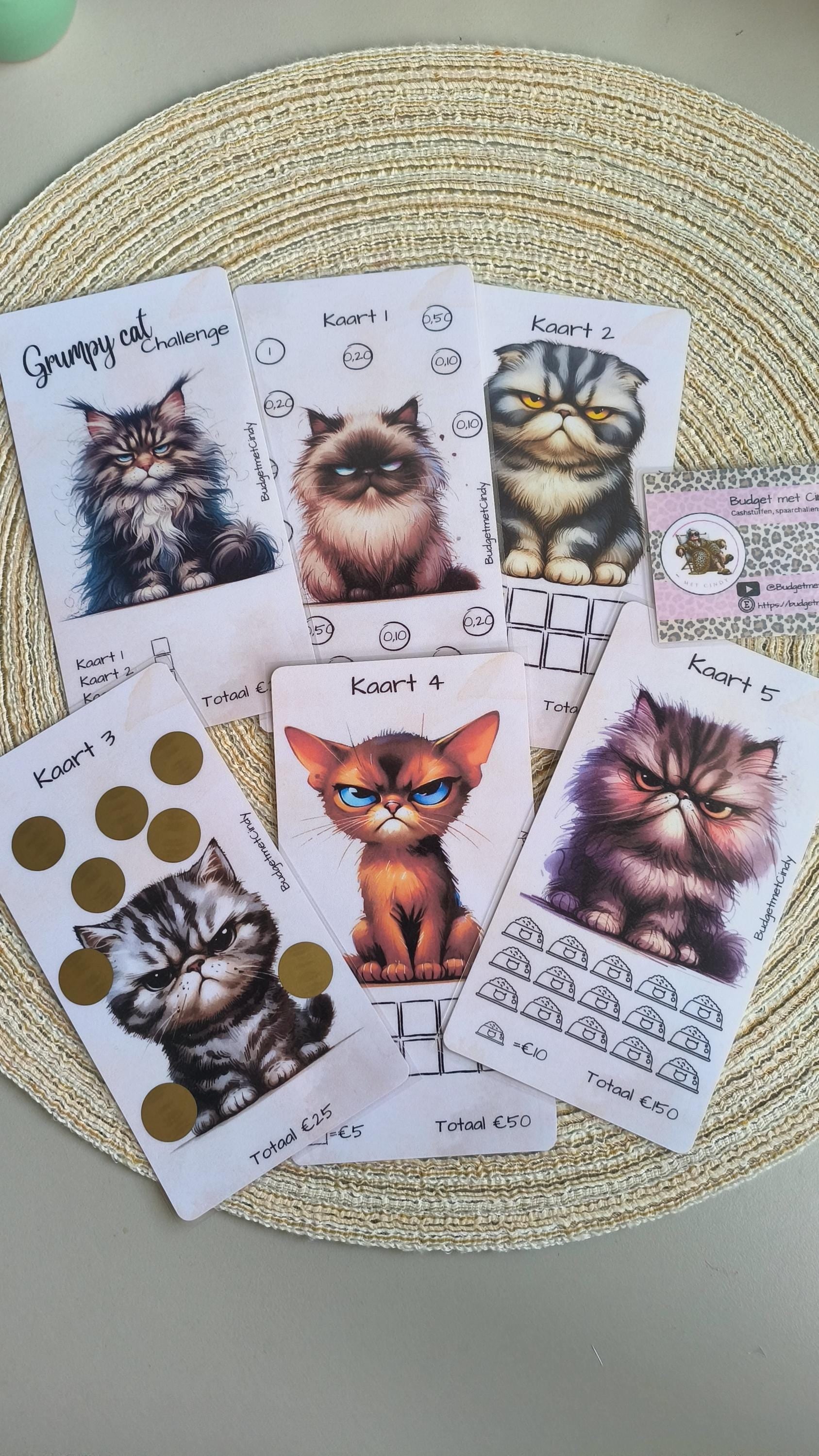 Grumpy Cats set a6
