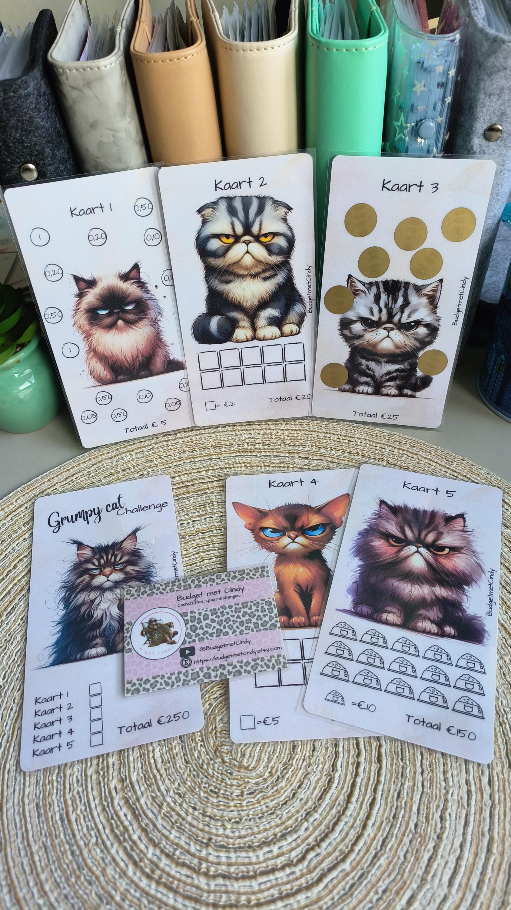 Grumpy Cats set a6