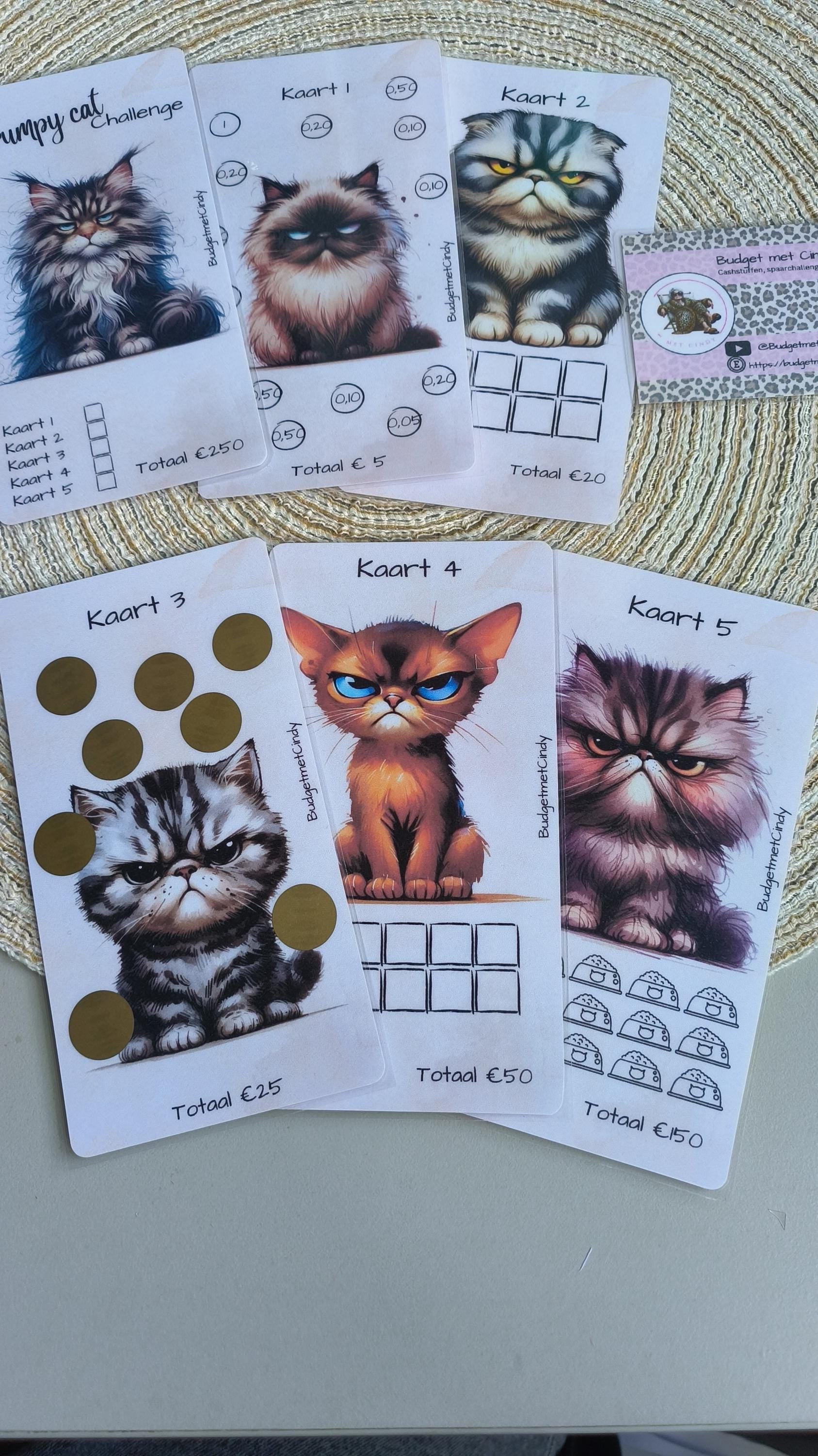 Grumpy Cats set a6