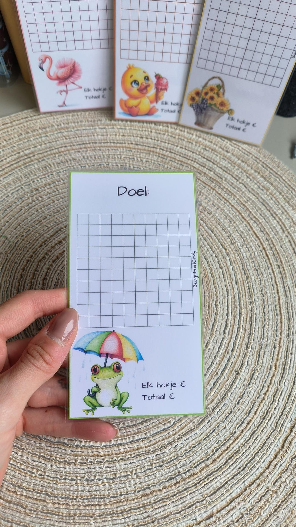 A6 challenge 100 vakjes bedrag zelf kiezen