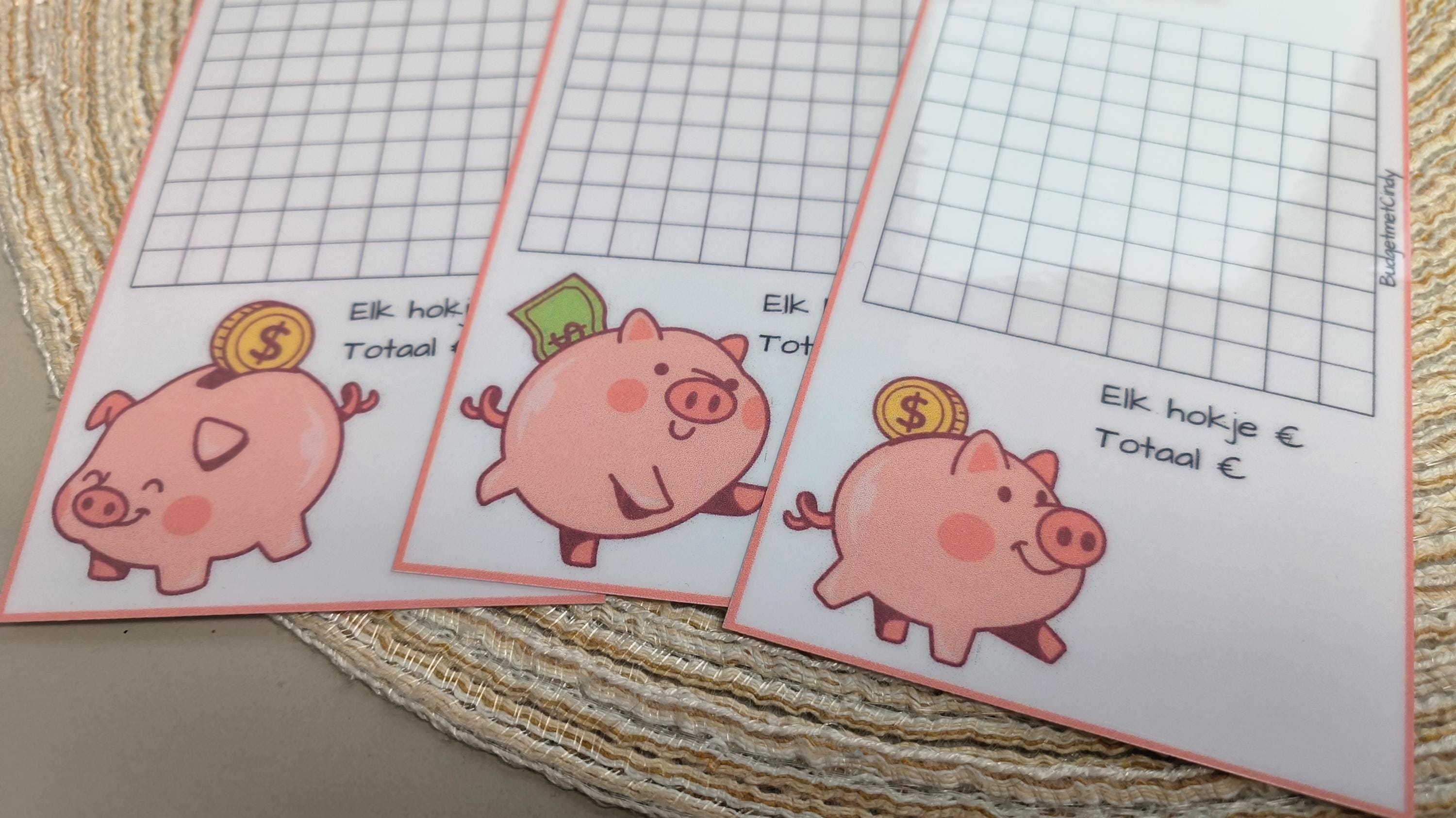 Setje A6 100 vakjes spaarvarkens
