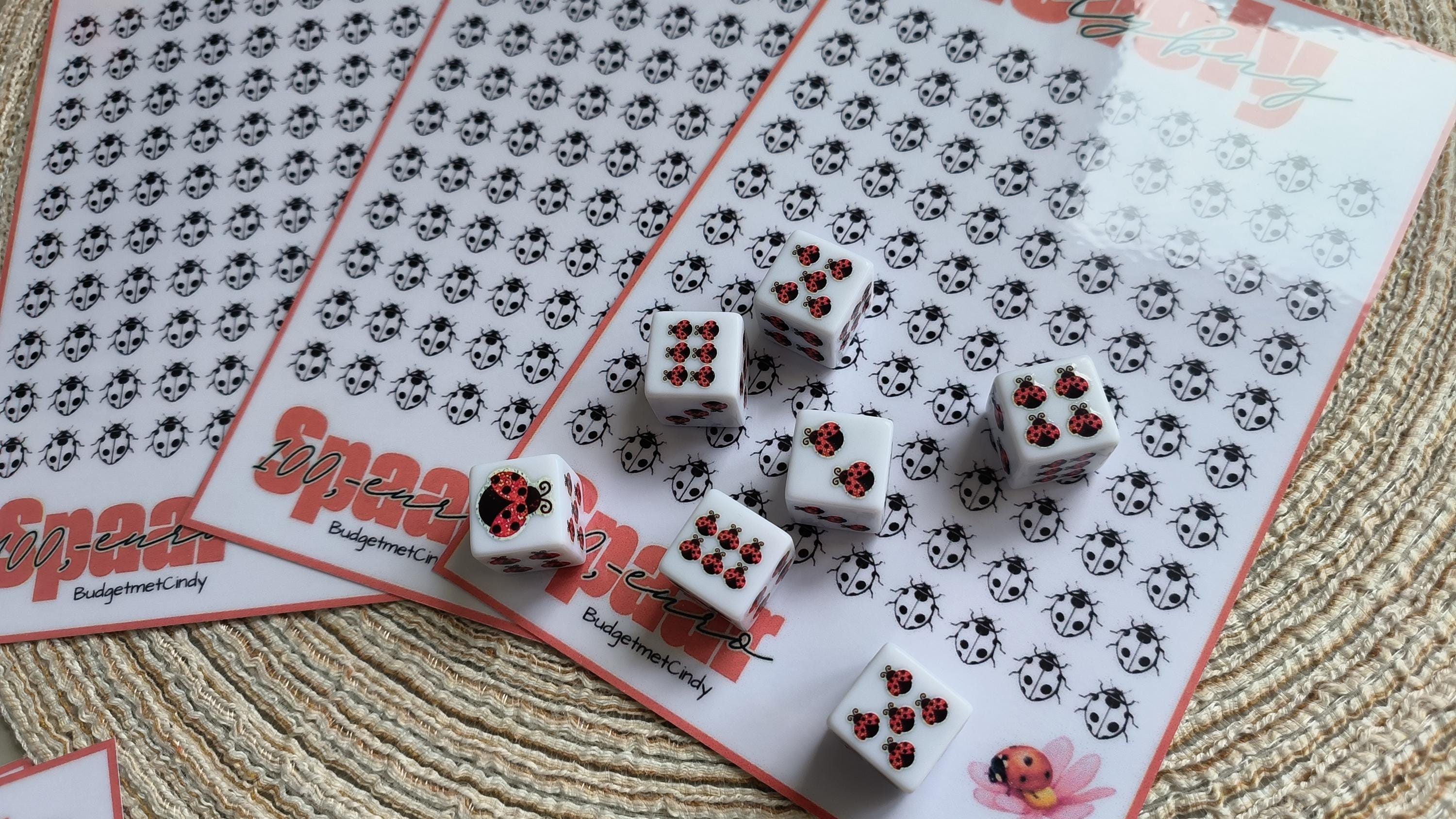 A5 lovely ladybug dobbel