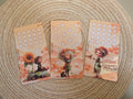 A6 setje orange fairys