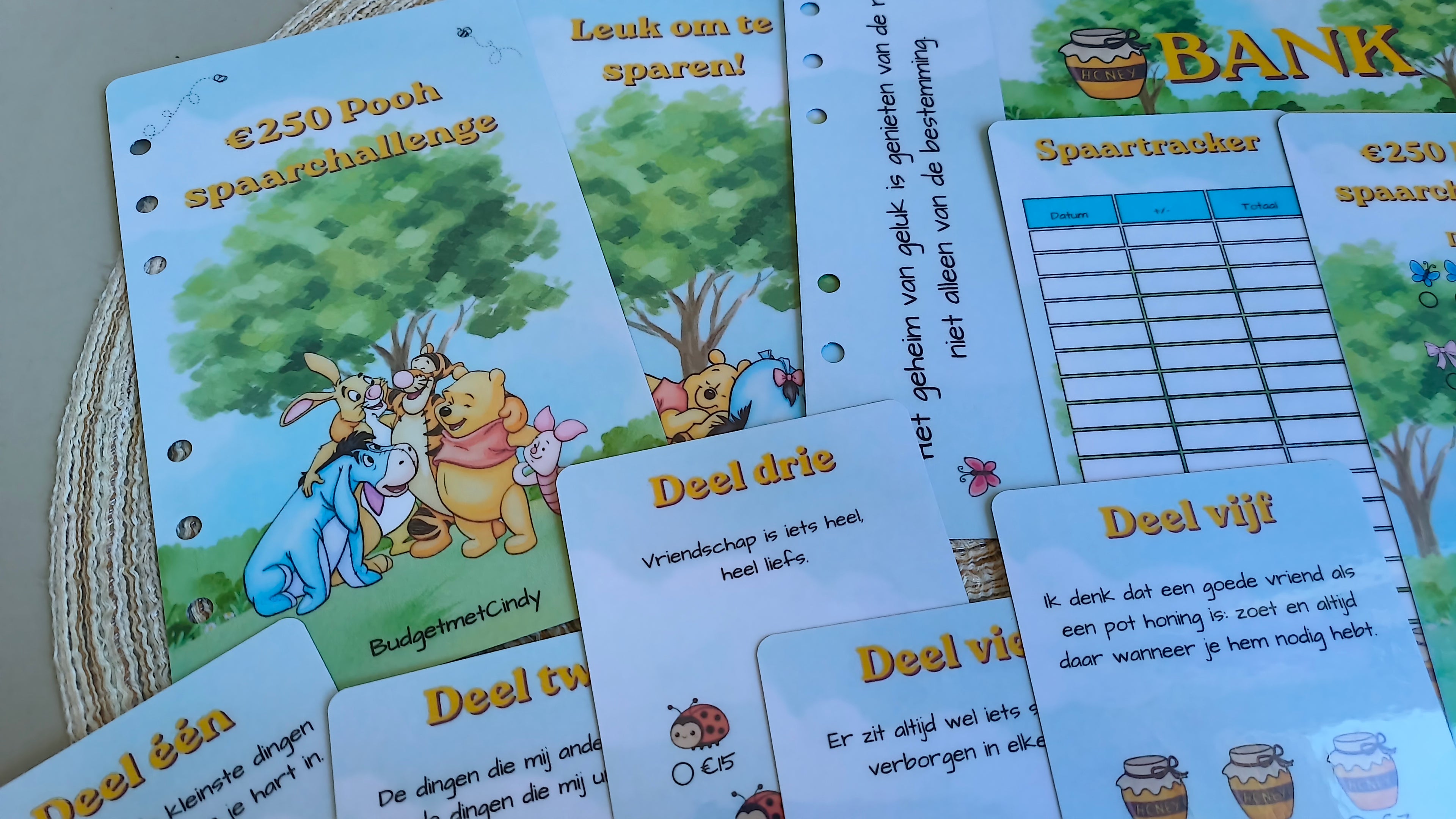 Spaarbundel a6 Pooh 250