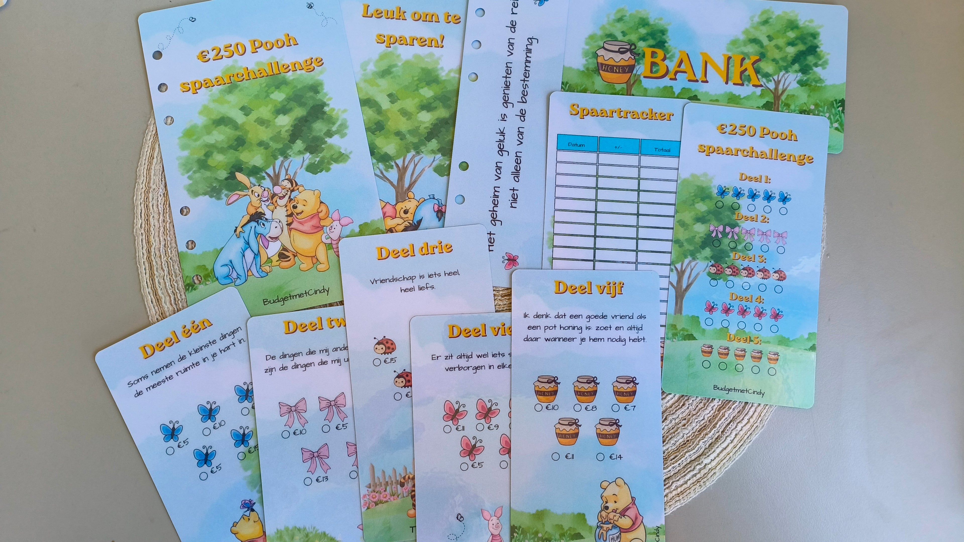 Spaarbundel a6 Pooh 250