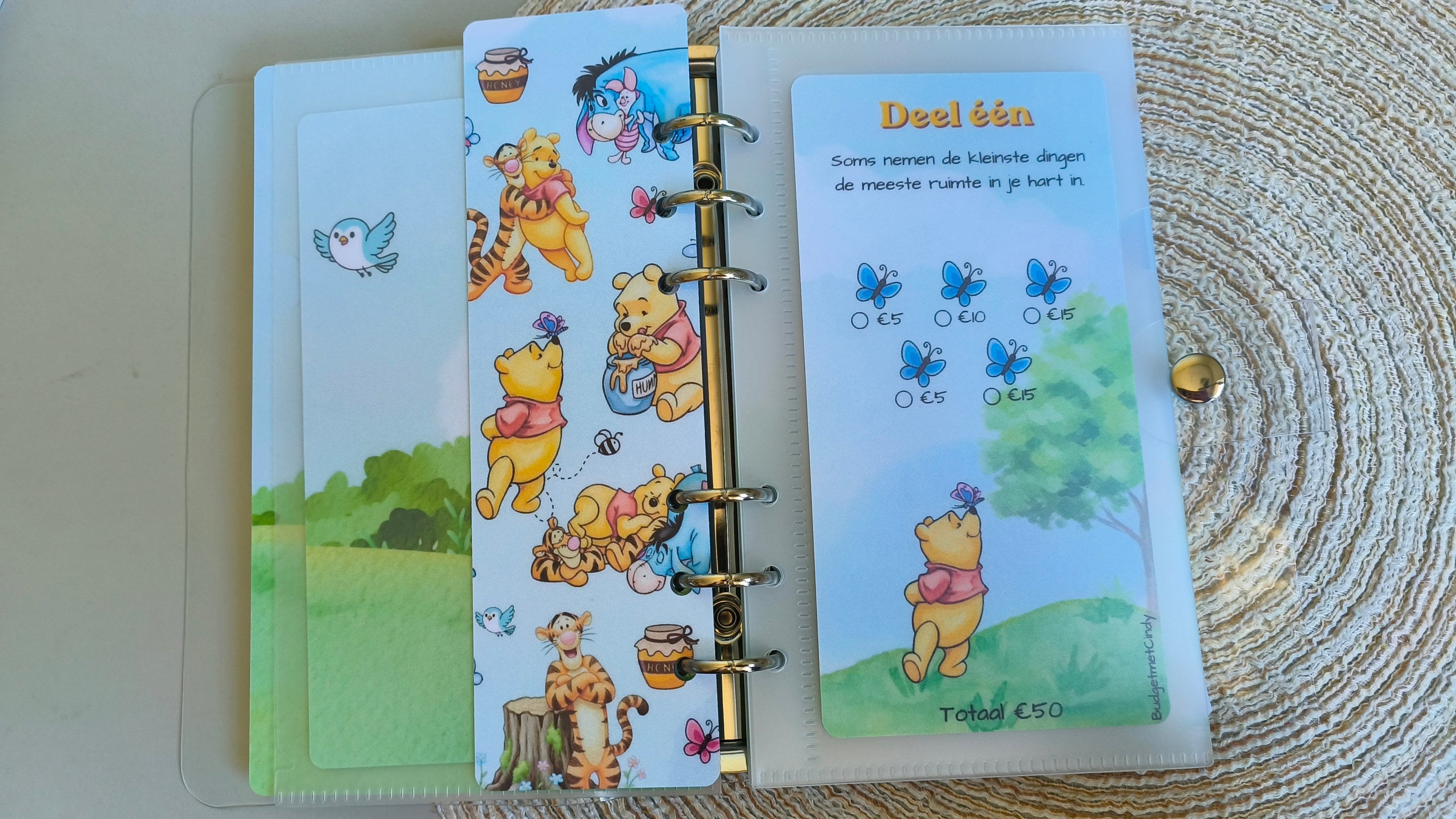 Spaarbundel a6 Pooh 250
