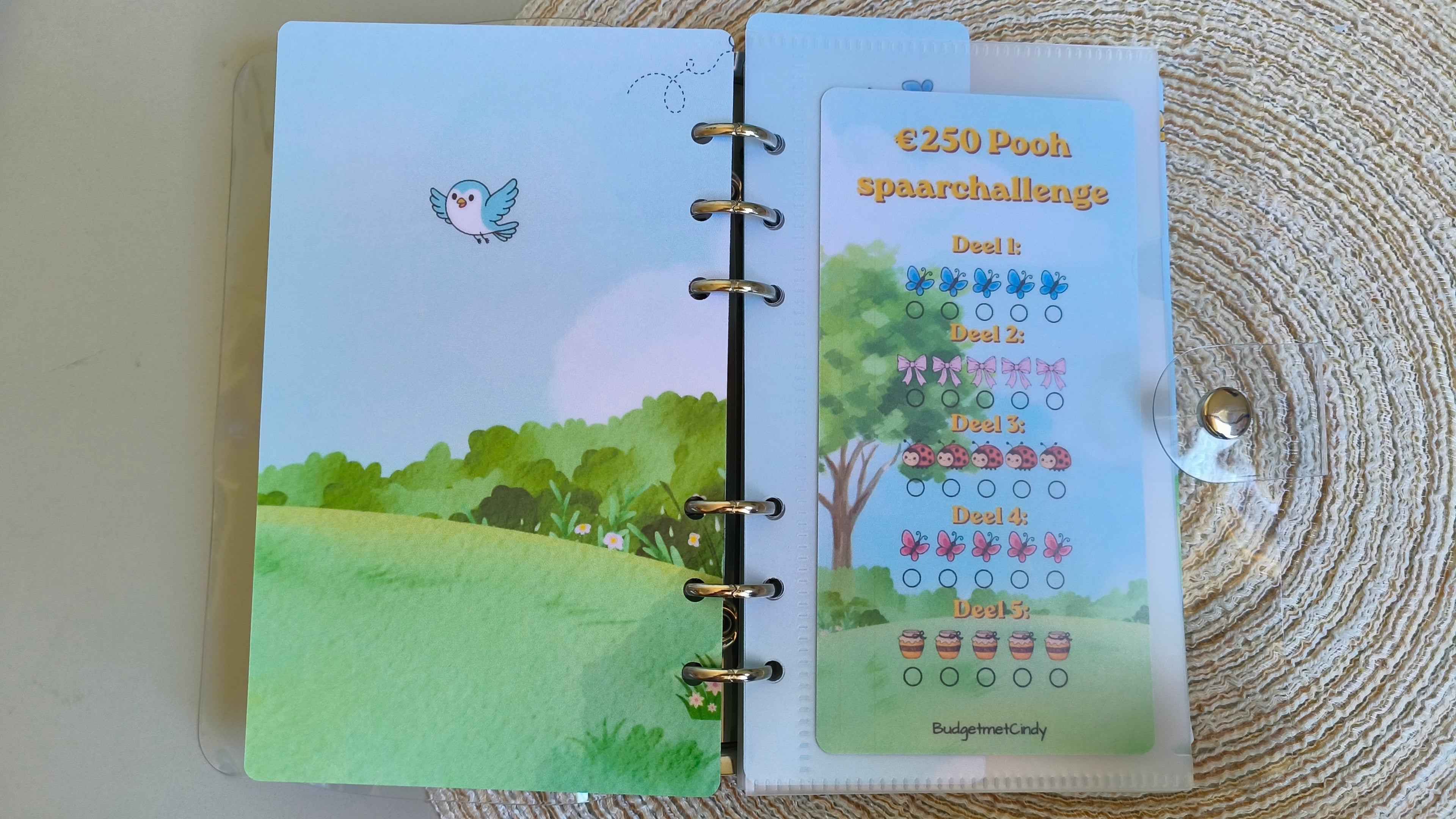 Spaarbundel a6 Pooh 250