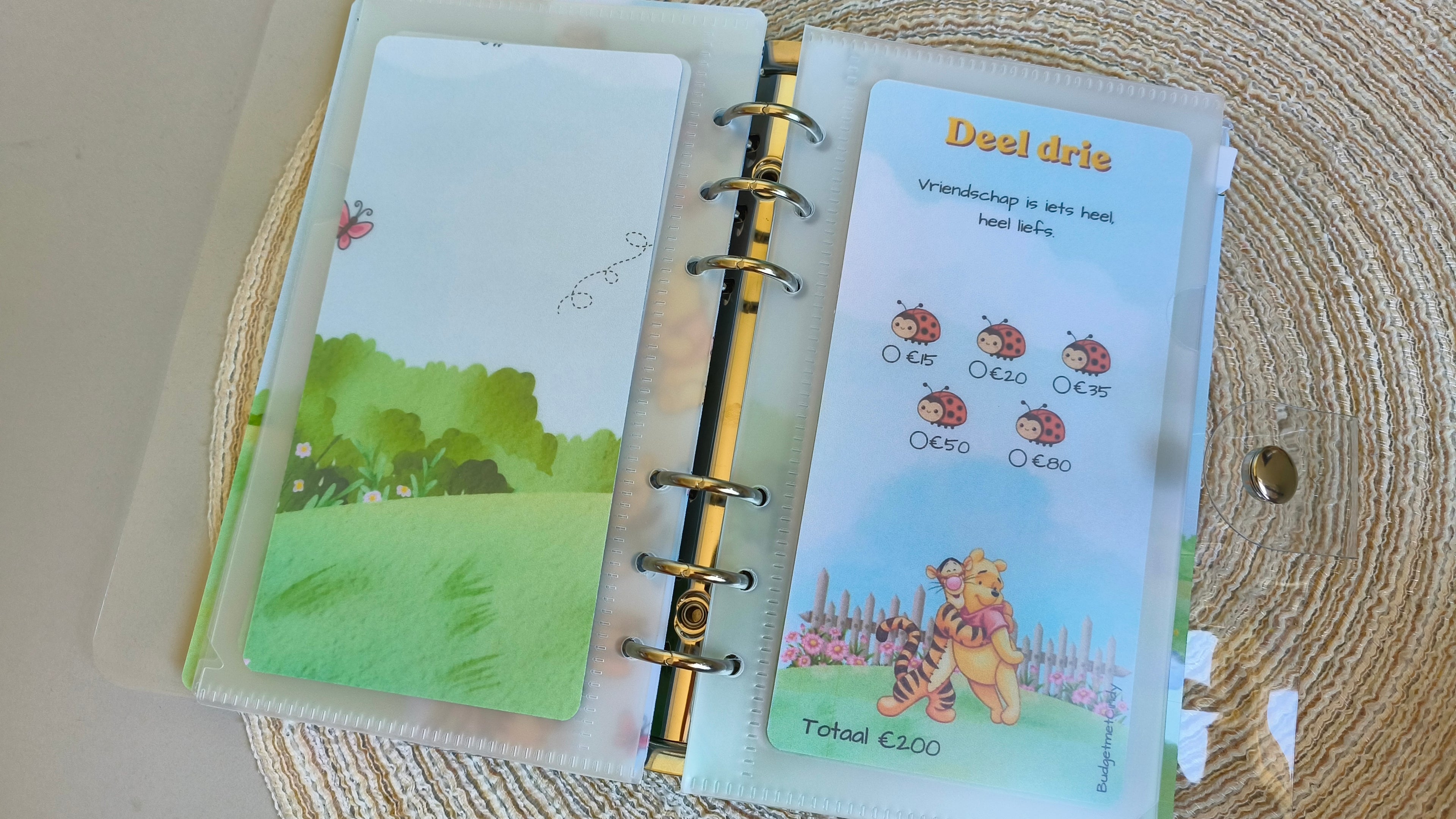 Spaarbundel a6 Pooh 1000